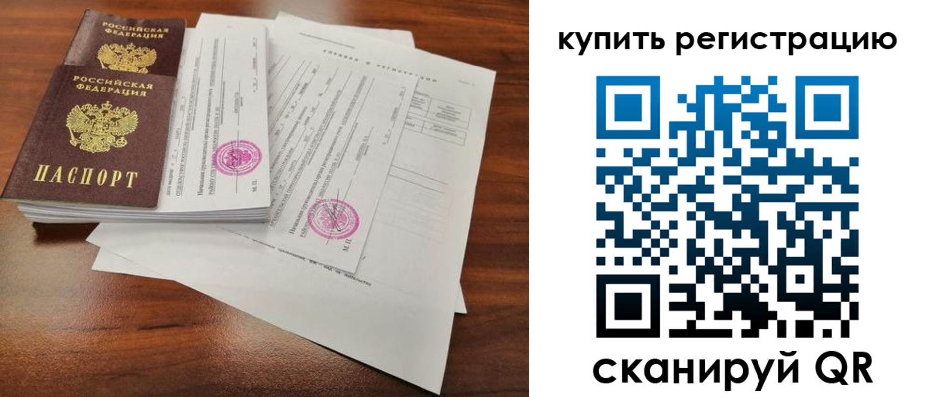 прописка поиск в Курской области